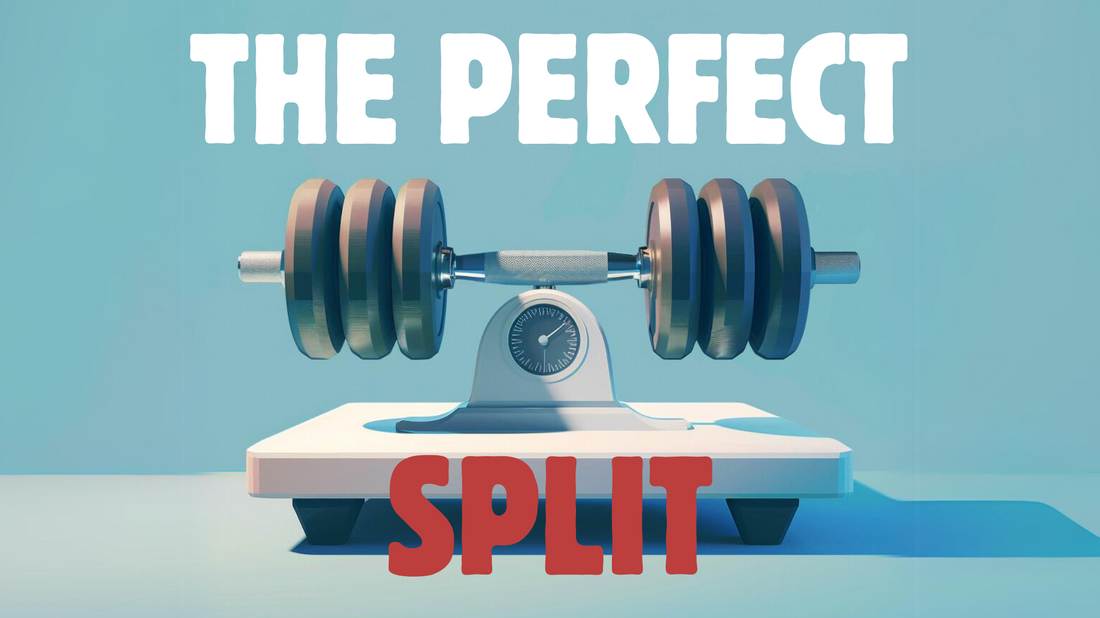 THE PERFECT WORKOUT SPLIT